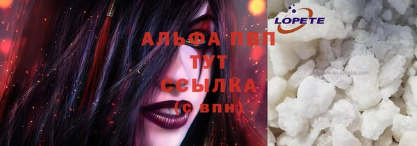 гашик Осташков