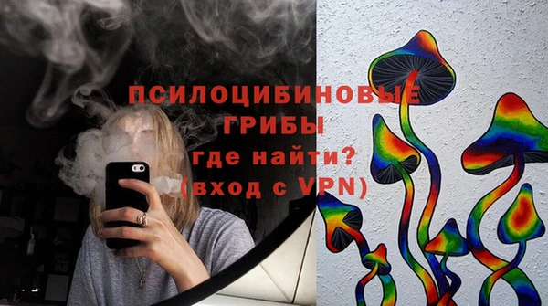 гашиш Богданович