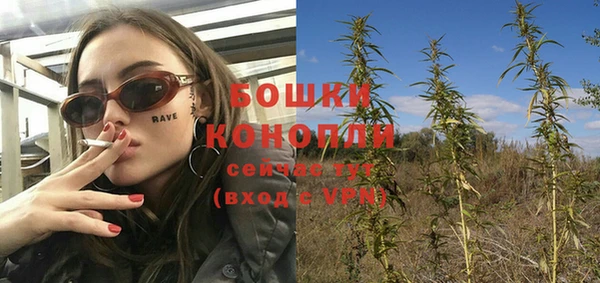 гашиш Богданович